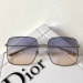 Gafas de sol Dior Stellaire1