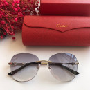Gafas de sol Cartier CT0091