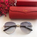 Gafas de sol Cartier CT0091
