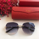 Gafas de sol Cartier CT0091