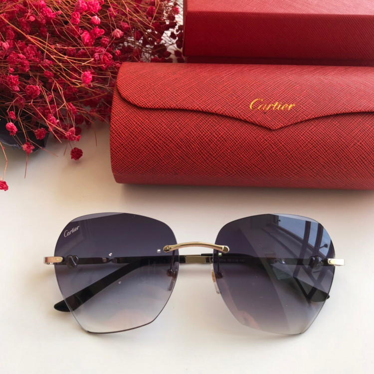 Gafas de sol Cartier CT0091