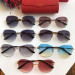 Gafas de sol Cartier CT0091