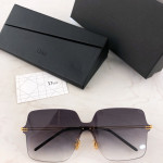 Gafas de sol DIOR STELLAIRE0319/S