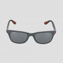 Солнцезащитные очки RB4195 Ray-Ban Ferrari