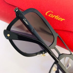 Gafas de sol Cartier CT0194S