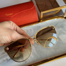 Gafas de sol Cartier CT0198s