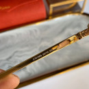 Gafas de sol Cartier CT0198s