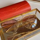 Gafas de sol Cartier CT0198s