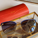 Gafas de sol Cartier CT0198s