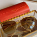 Gafas de sol Cartier CT0198s