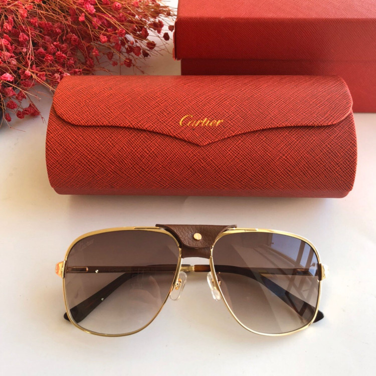 Gafas de sol Cartier CT0165S
