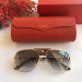 Gafas de sol Cartier CT0165S