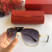 Gafas de sol Cartier CT0165S