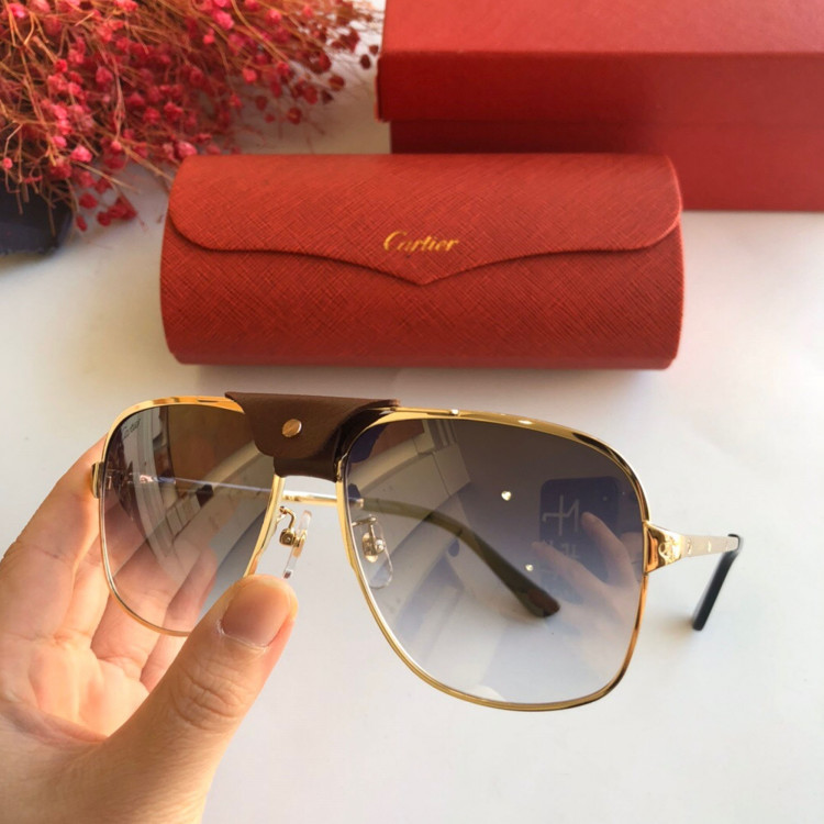 Gafas de sol Cartier CT0165S