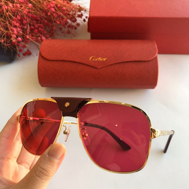 Gafas de sol Cartier CT0165S