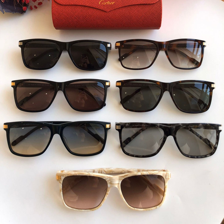 Gafas de sol Cartier CT0160s