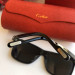 Gafas de sol Cartier CT0160s
