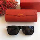 Gafas de sol Cartier CT0160s