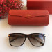 Gafas de sol Cartier CT0160s