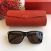 Gafas de sol Cartier CT0160s