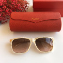 Gafas de sol Cartier CT0160s