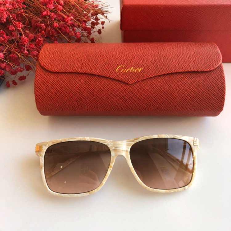 Gafas de sol Cartier CT0160s