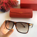 Gafas de sol Cartier CT0160s