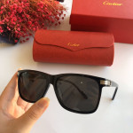Gafas de sol Cartier CT0160s