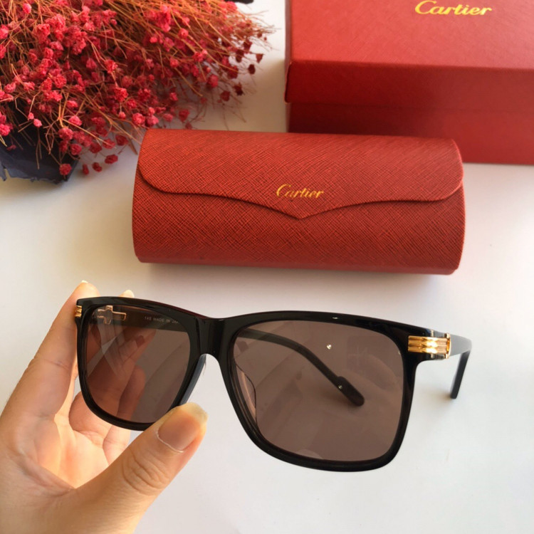 Gafas de sol Cartier CT0160s