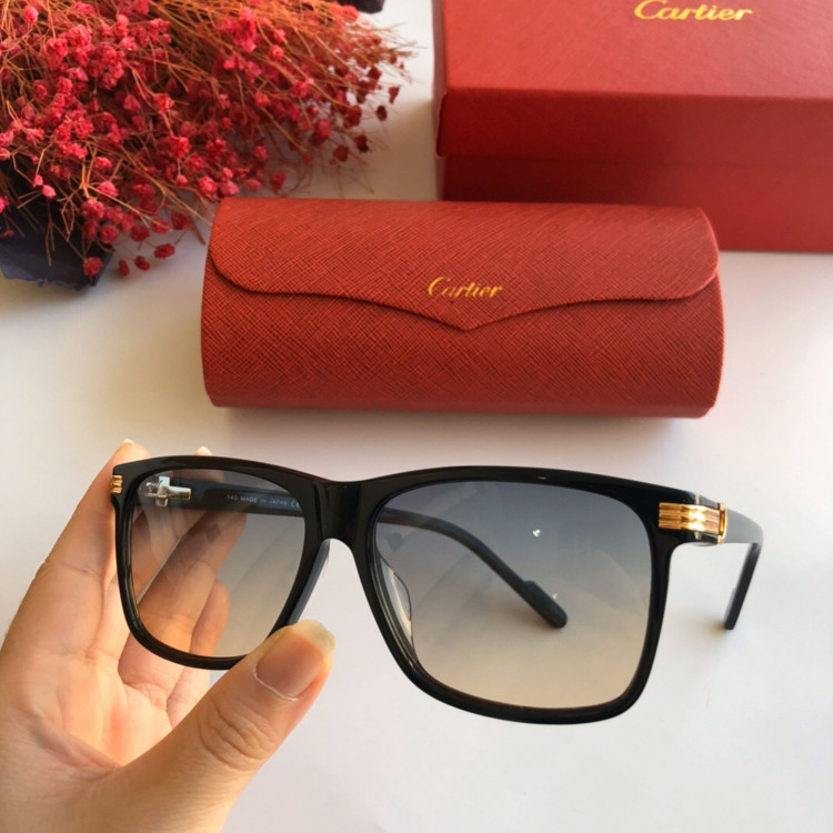 Gafas de sol Cartier CT0160s