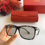 Gafas de sol Cartier CT0160s