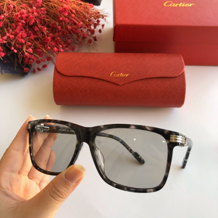 Gafas de sol Cartier CT0160s