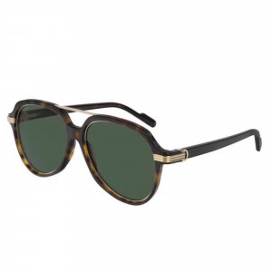 Gafas de sol Cartier CT0159S