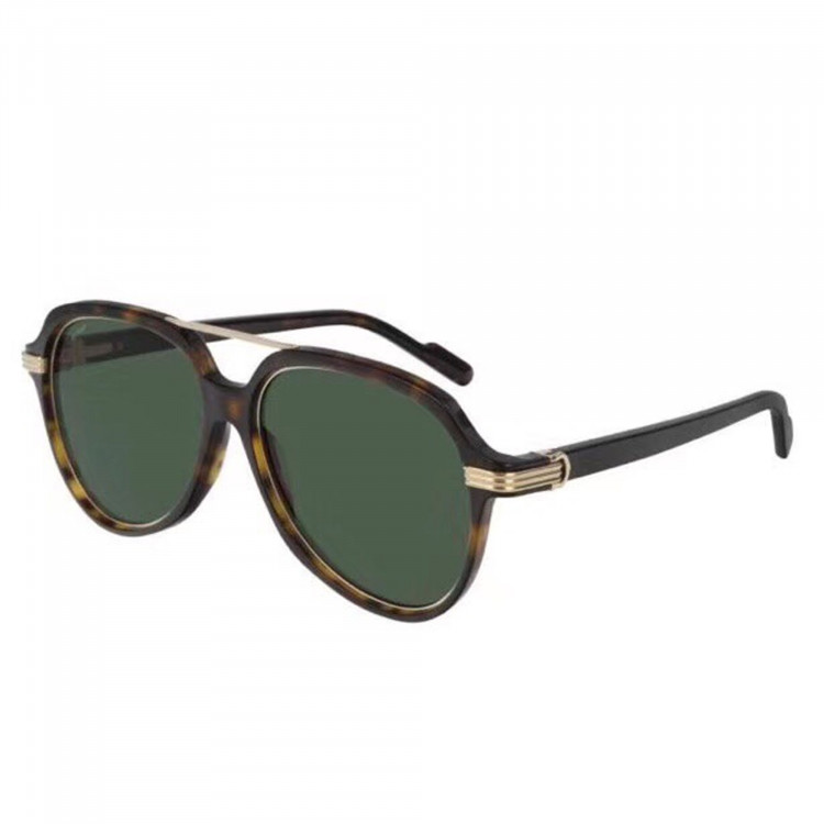 Gafas de sol Cartier CT0159S