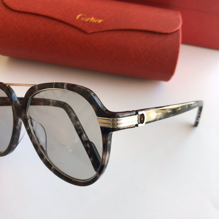 Gafas de sol Cartier CT0159S