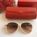 Gafas de sol Cartier CT0159S