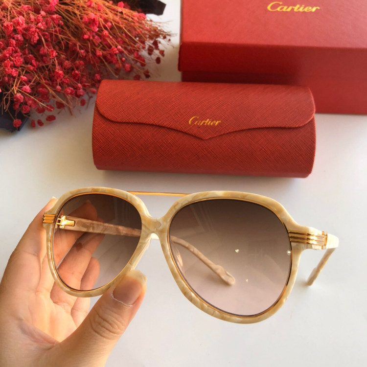 Gafas de sol Cartier CT0159S