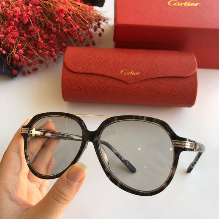 Gafas de sol Cartier CT0159S