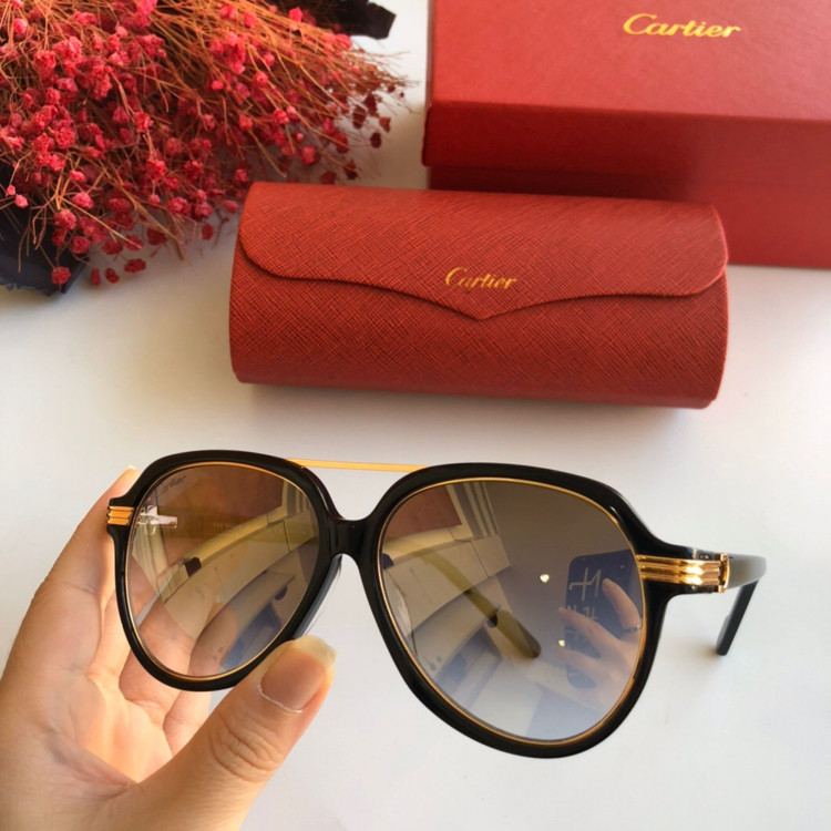 Gafas de sol Cartier CT0159S
