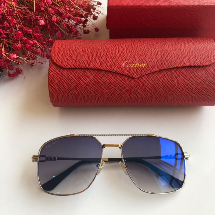  Gafas de sol Cartier CT0108