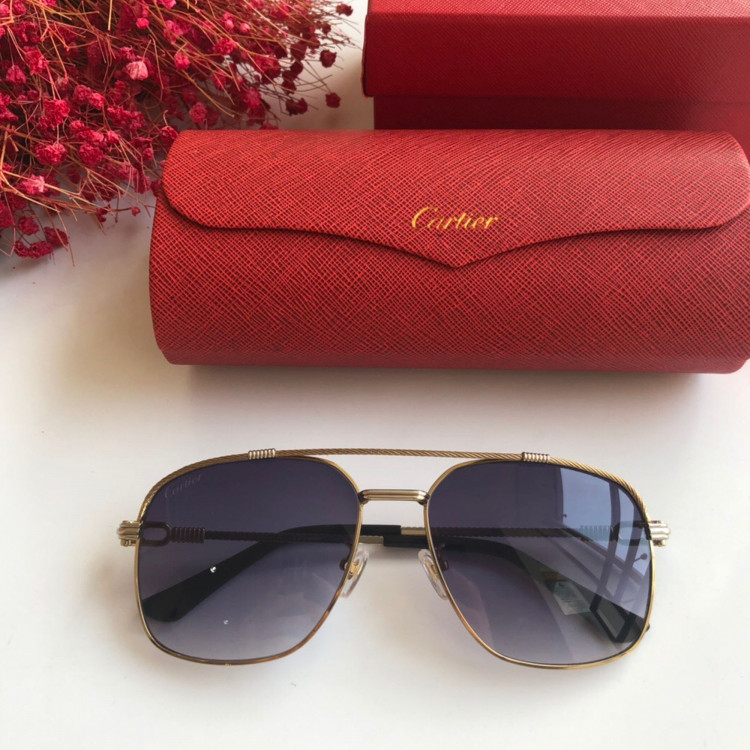  Gafas de sol Cartier CT0108
