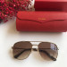  Gafas de sol Cartier CT0108