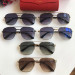  Gafas de sol Cartier CT0108