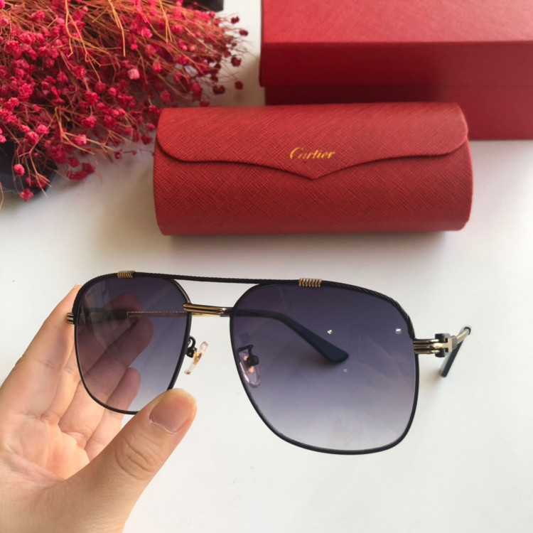  Gafas de sol Cartier CT0108