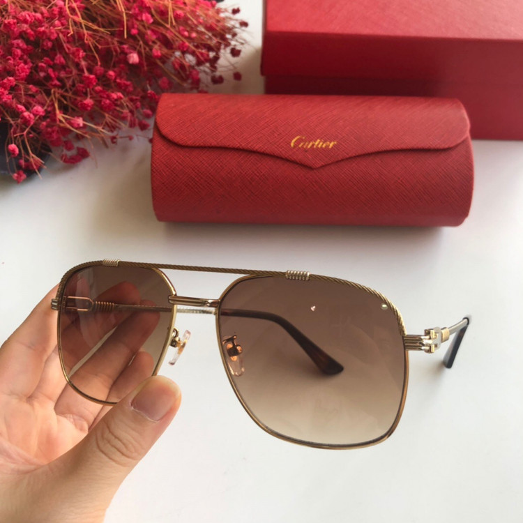  Gafas de sol Cartier CT0108