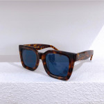 Gafas de sol Celine CL41450