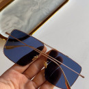 Gafas de sol Dior MONSIEUR2