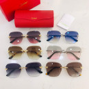 Gafas de sol Cartier CT0147S