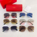 Gafas de sol Cartier CT0147S